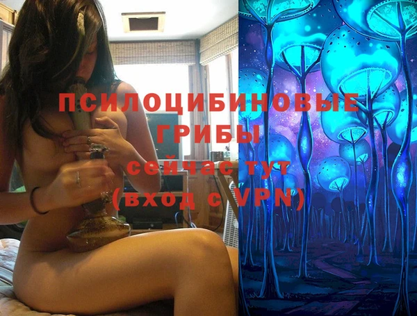 шишки Абдулино
